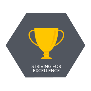 Values-Striving-for-Excellence
